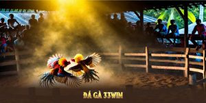 Đá gà 33WIN