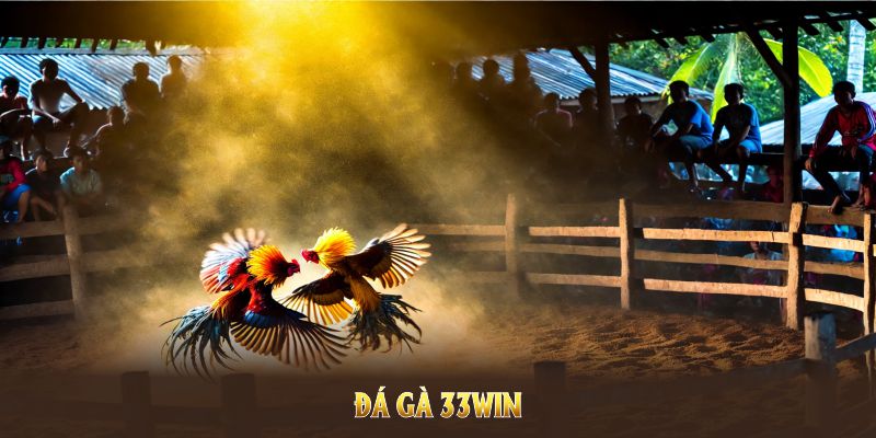 Đá gà 33WIN